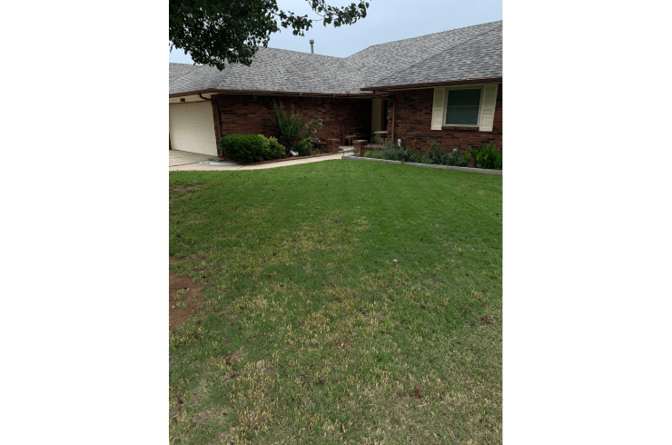 SageScapes Landscaping