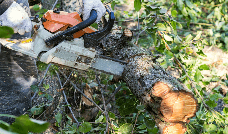 SageScapes Landscaping