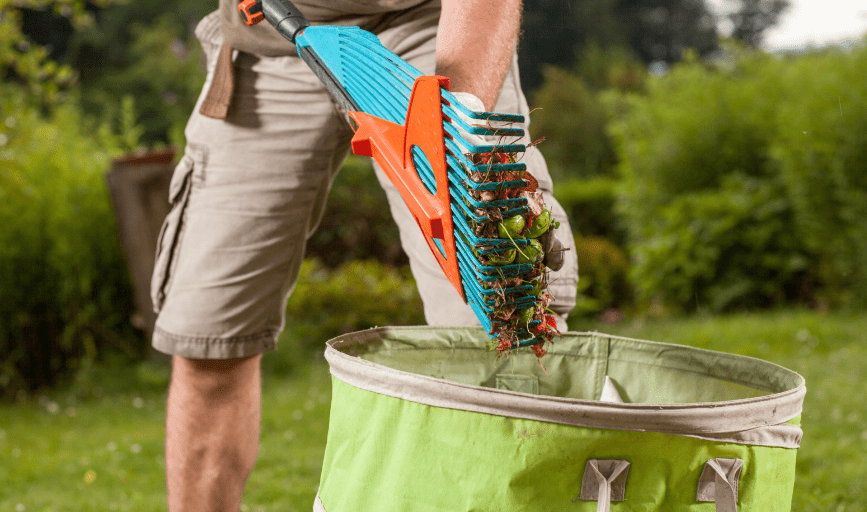 SageScapes Landscaping